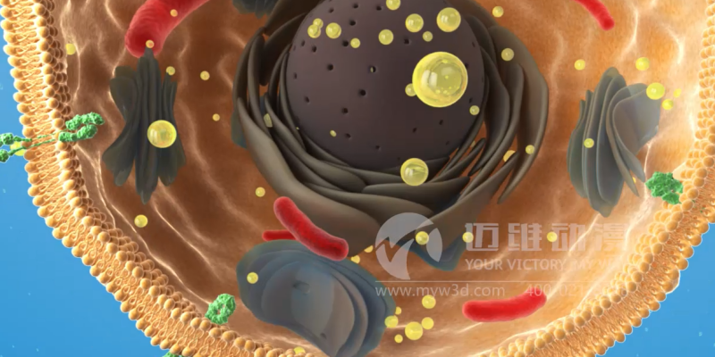 醫(yī)學(xué)三維動(dòng)畫(huà)制作效果展示-上海三維動(dòng)畫(huà)制作(圖6)